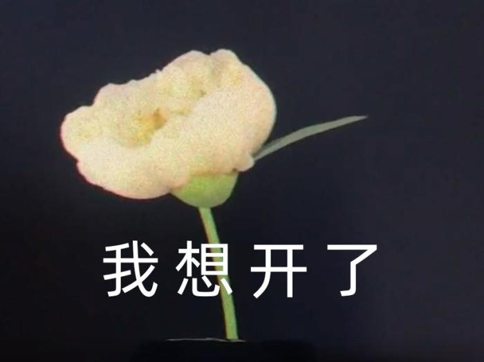 broken image